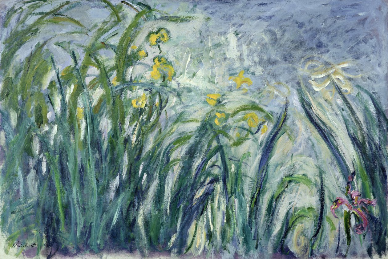 Íris Amarela e Roxa, 1924-25 (ver detalhe 414407) de Claude Monet