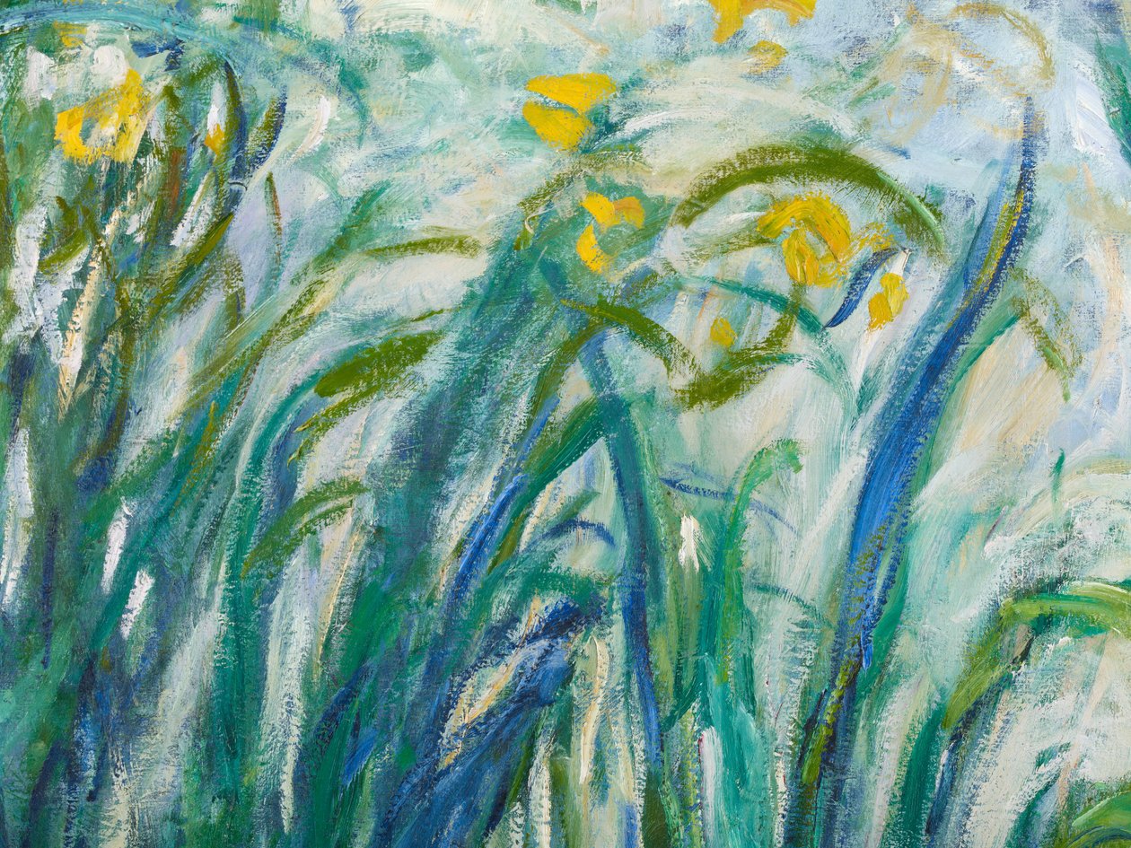 Íris amarelo e roxo, 1924-25 detalhe de 169490 óleo sobre tela de Claude Monet