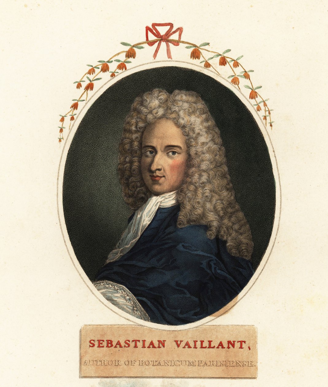 Retrato de Sebastian Vaillant, botânico francês de Claude Aubriet