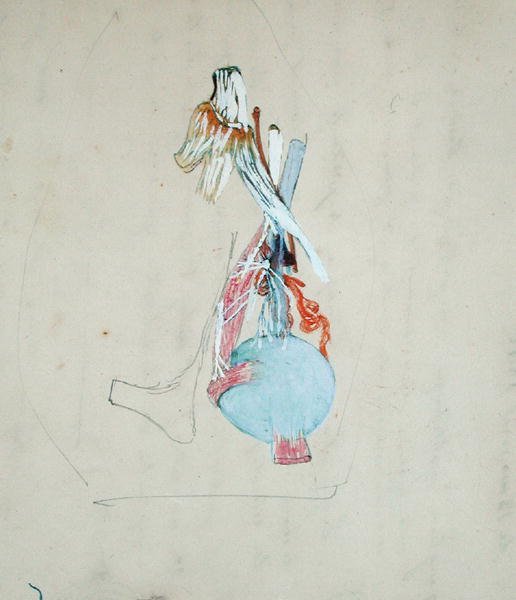Sistema nervoso na cabeça de um gato, 25 de Maio de 1842 (lápis e aguarela sobre papel) de Claude Bernard