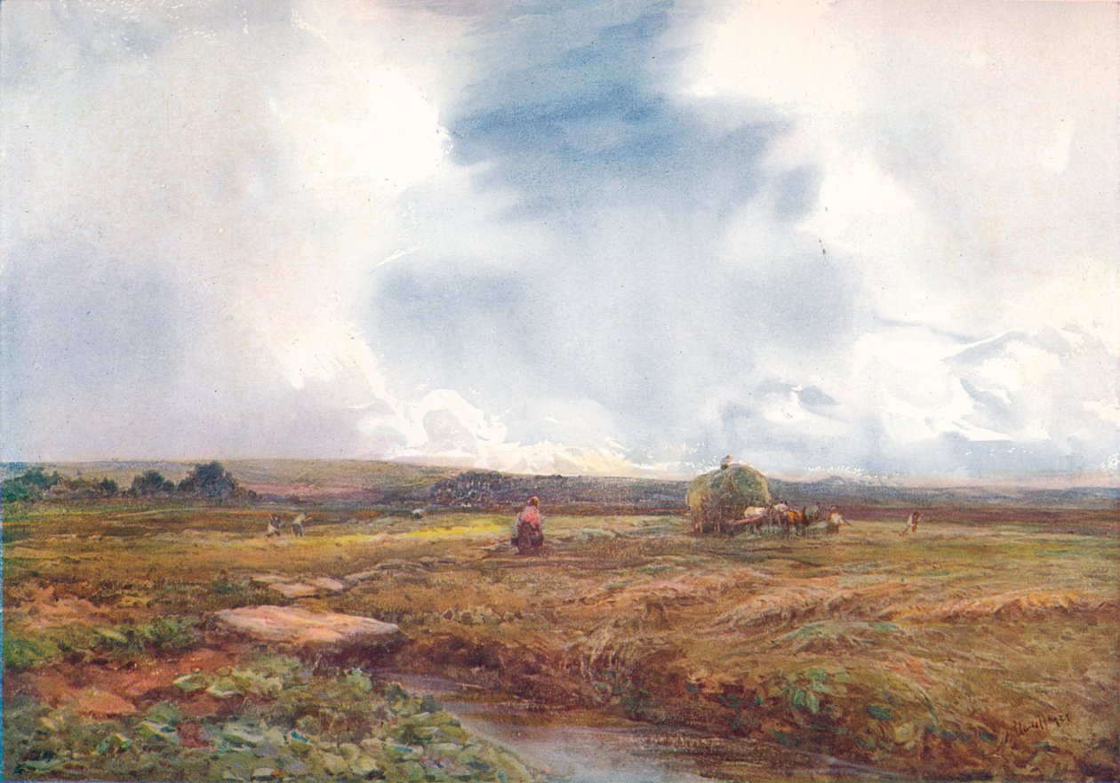 O Hayfield, 1872-1906, 1906. de Claude Hayes