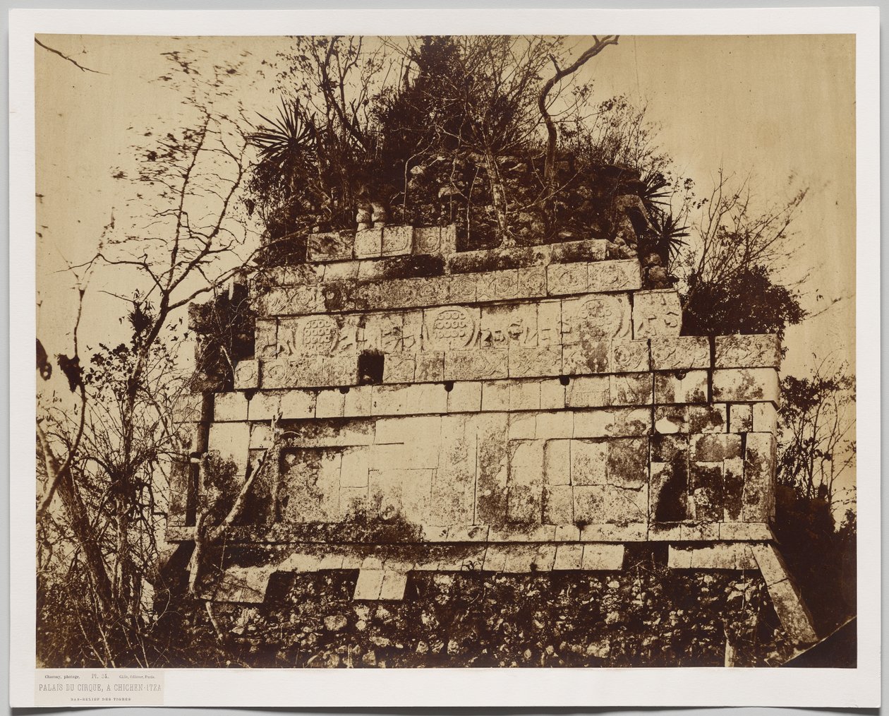 Palácio do Circo em Chichen-Itza (baixo relevo de tigres) de Claude Joseph Désiré Charnay