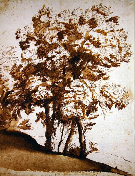 Um grupo de árvores à luz do sol (caneta e tinta e lavagem em papel) de Claude Lorrain