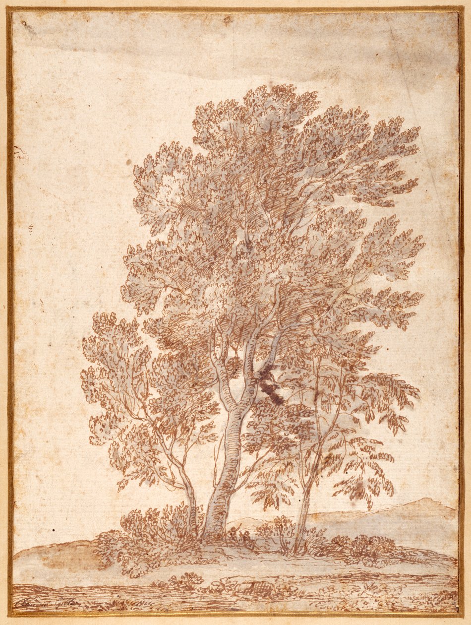 Três Árvores (caneta e tinta marrom com lavagem cinza sobre papel) de Claude Lorrain