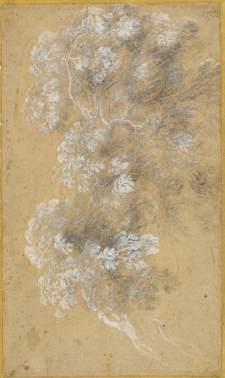 Esboço de folhagem e ramos de Claude Lorrain