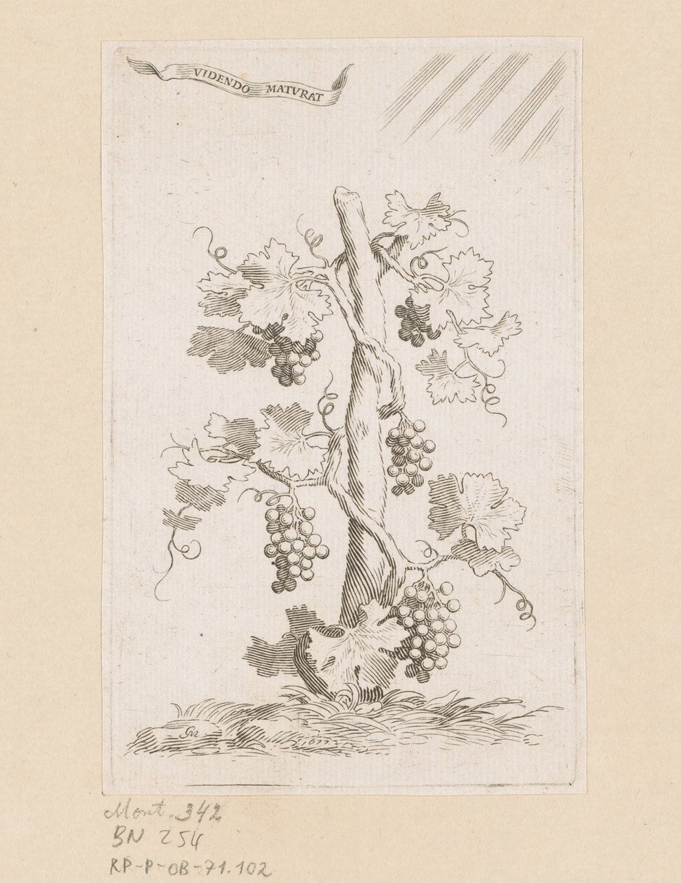 Viticultura de Claude Mellan