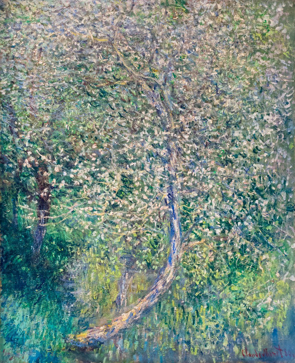 Macieiras em floração à beira da água de Claude Monet