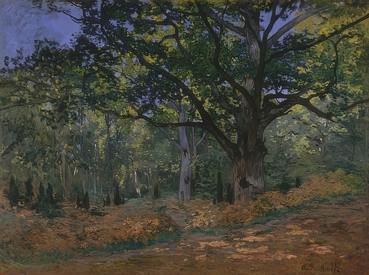 Carvalho Bodmer na floresta de Fontainebleau. 1865 de Claude Monet