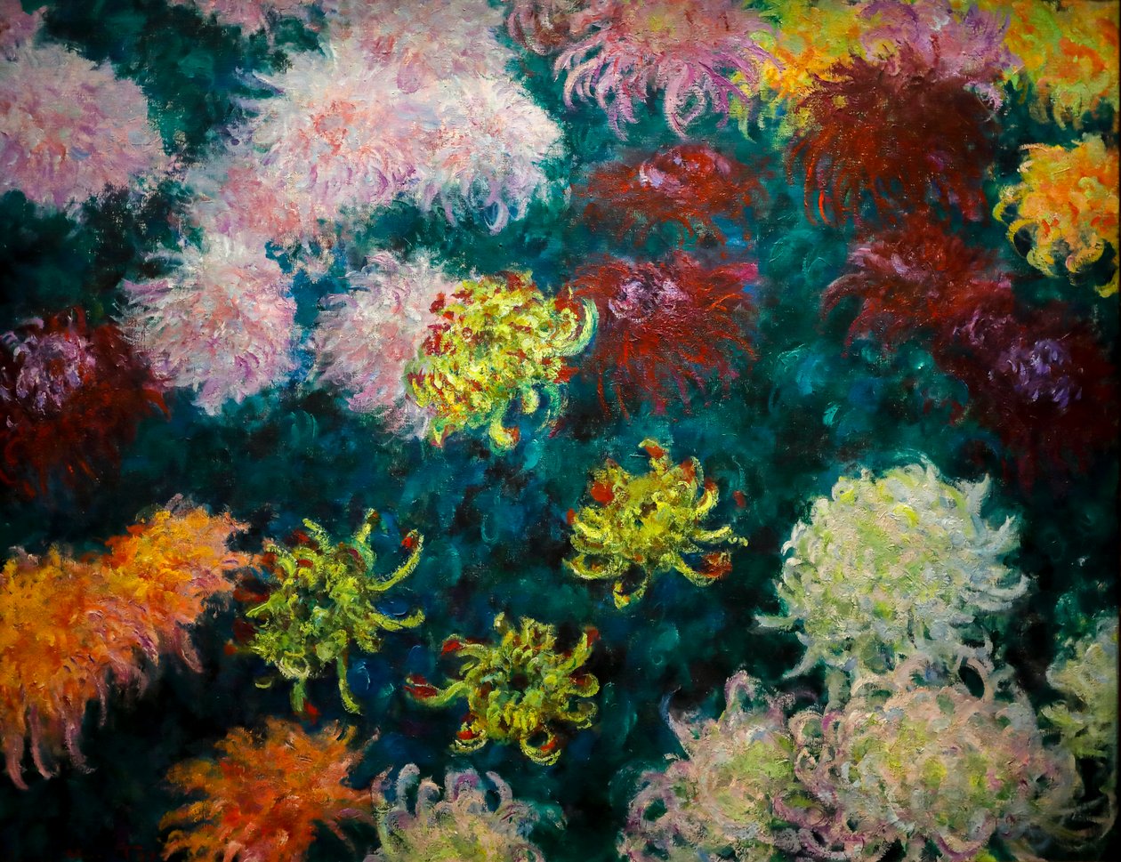 Cama de crisântemos de Claude Monet