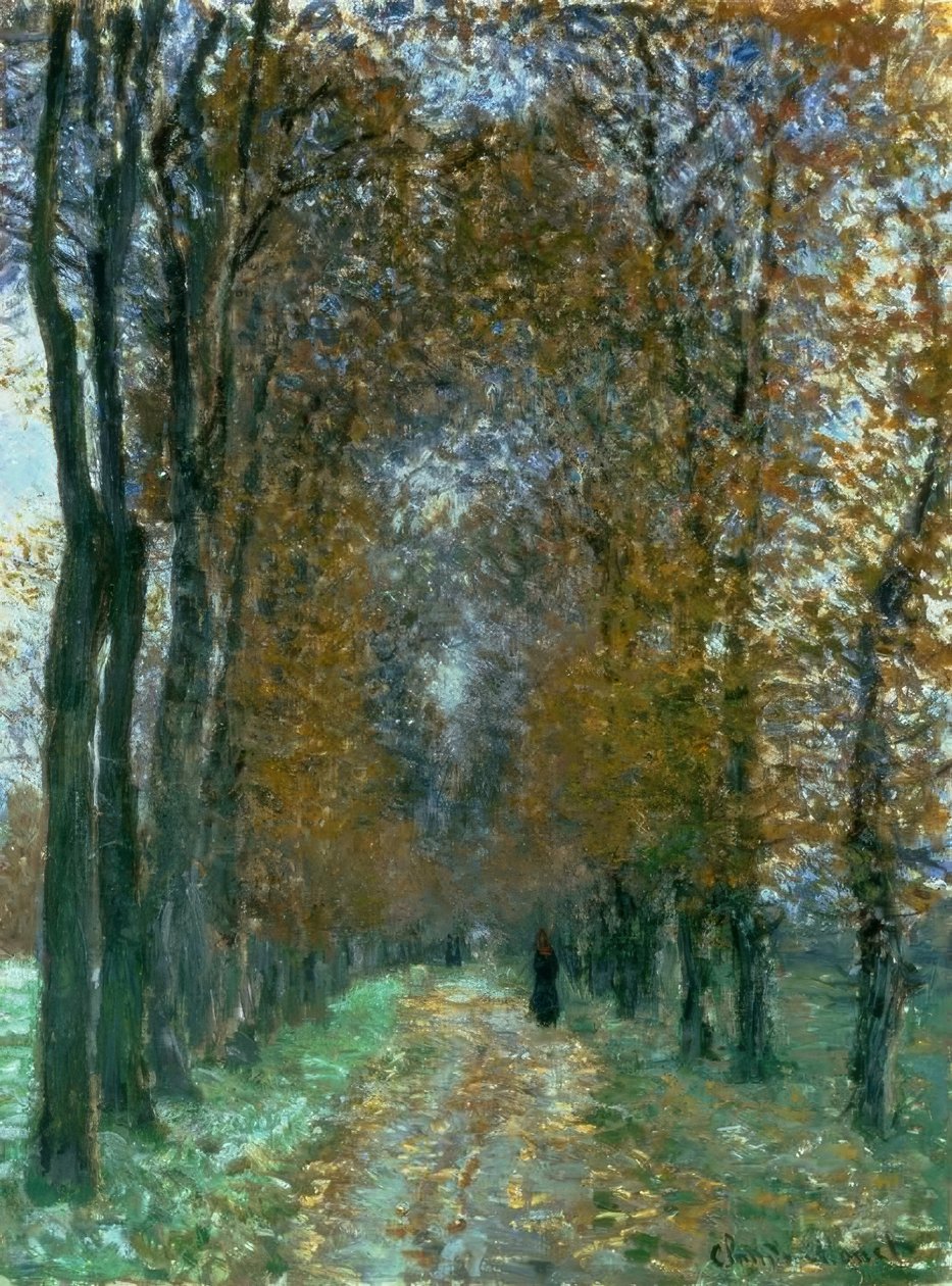 o Driveway de Claude Monet