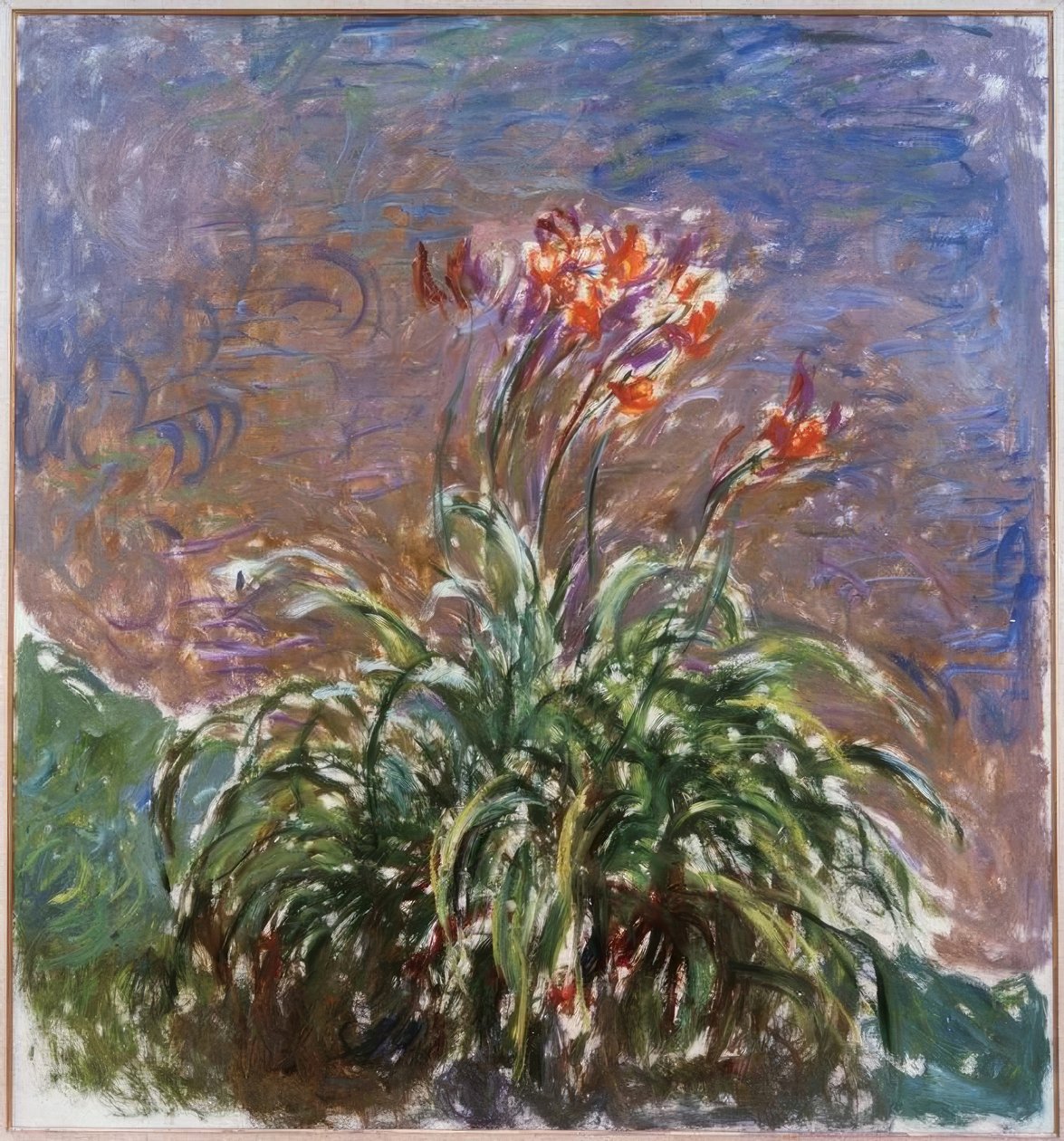Hemerocallis de Claude Monet