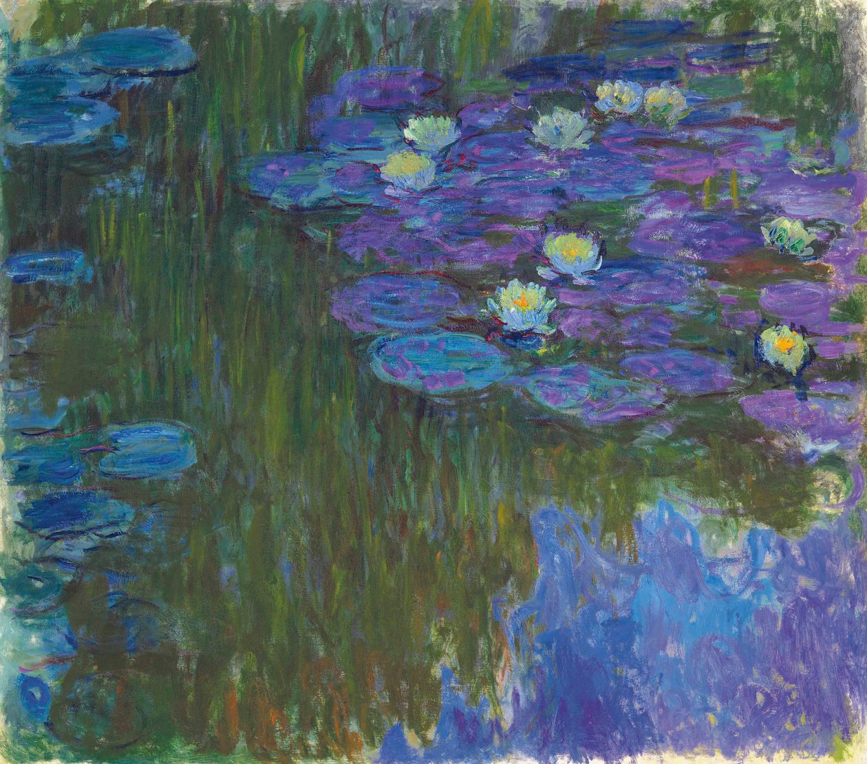 Nenúfares em flor de Claude Monet