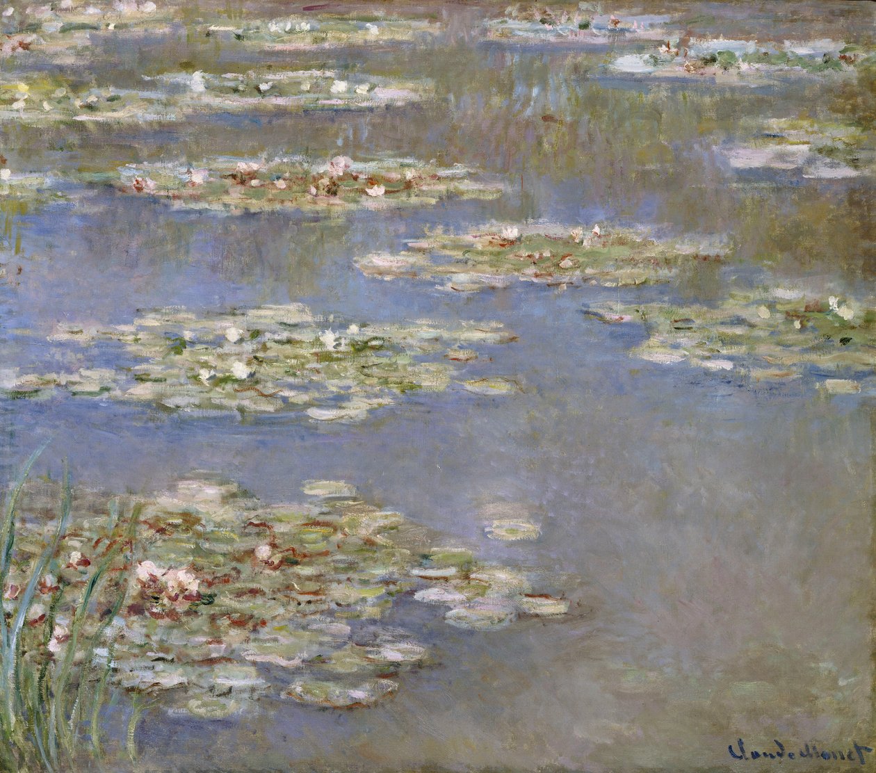 Nympheas, c.1905 de Claude Monet