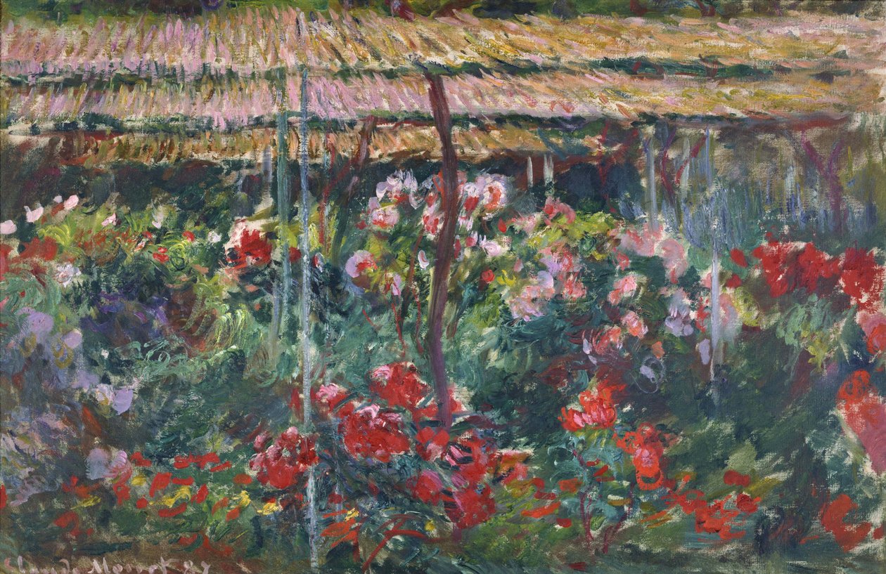 Jardim da peônia, 1887 de Claude Monet