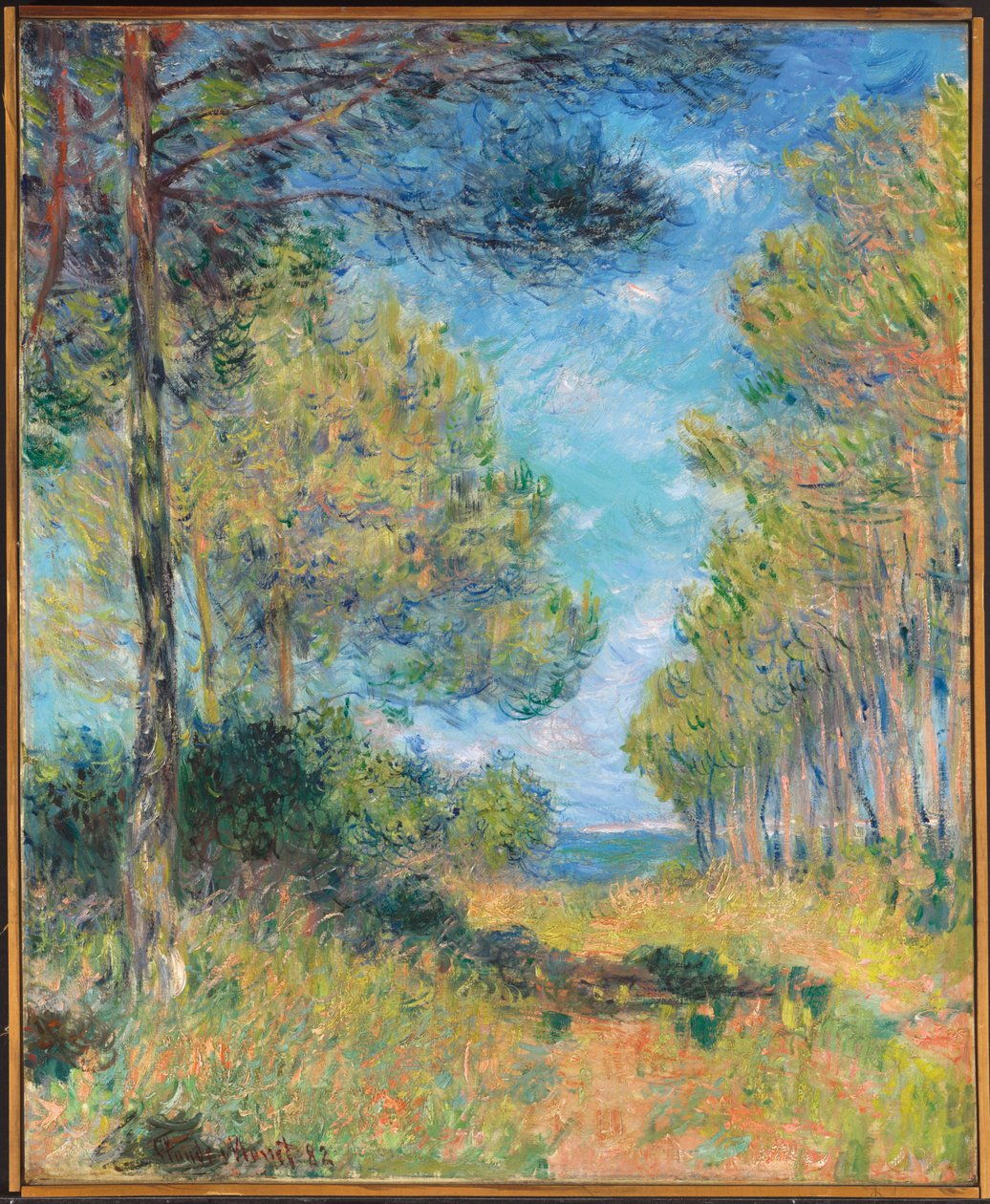 Caminho de pinheiro em Varengeville; Allee de sapins Varengeville, 1882 de Claude Monet