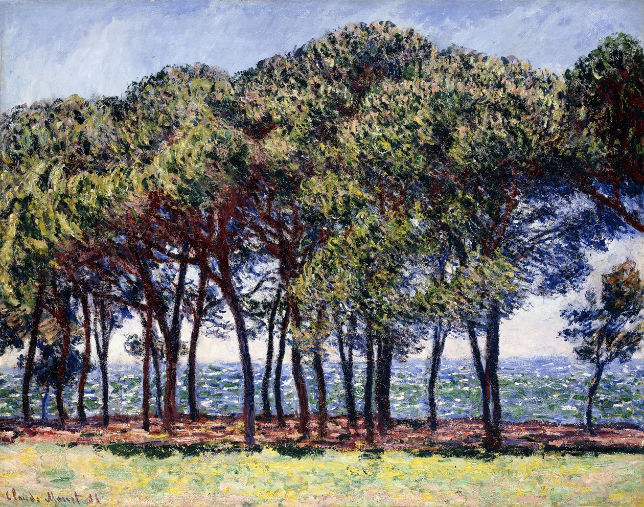 Pinheiros, Cap d "Antibes, 1888 de Claude Monet