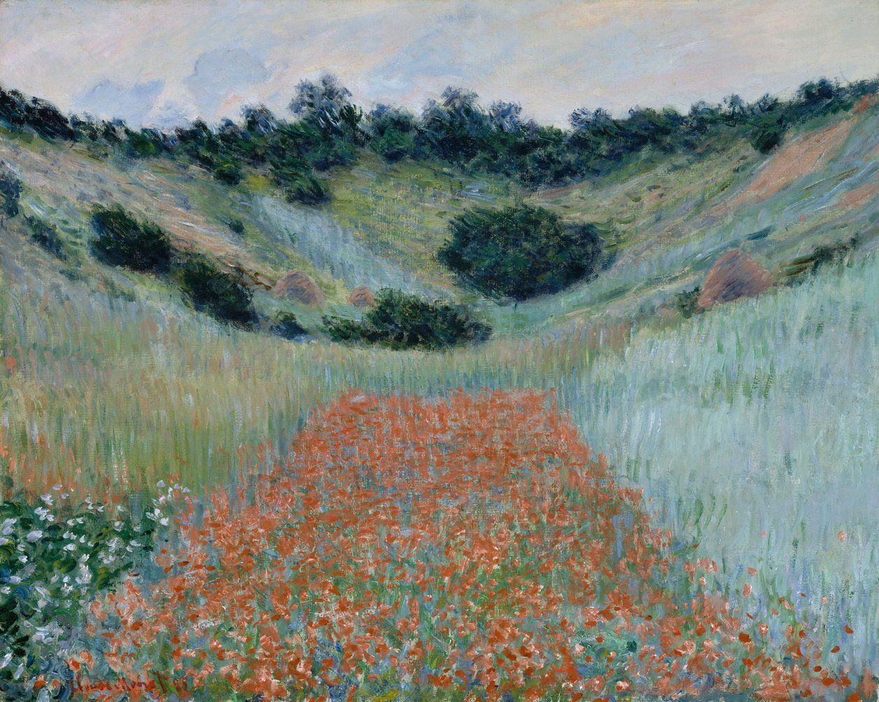 Campo de papoilas numa depressão perto de Giverny de Claude Monet