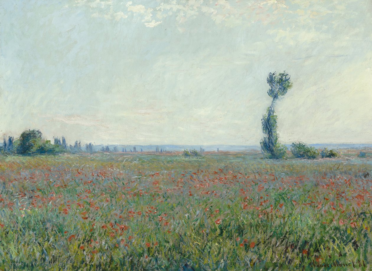 Campo de papoulas, 1881 de Claude Monet