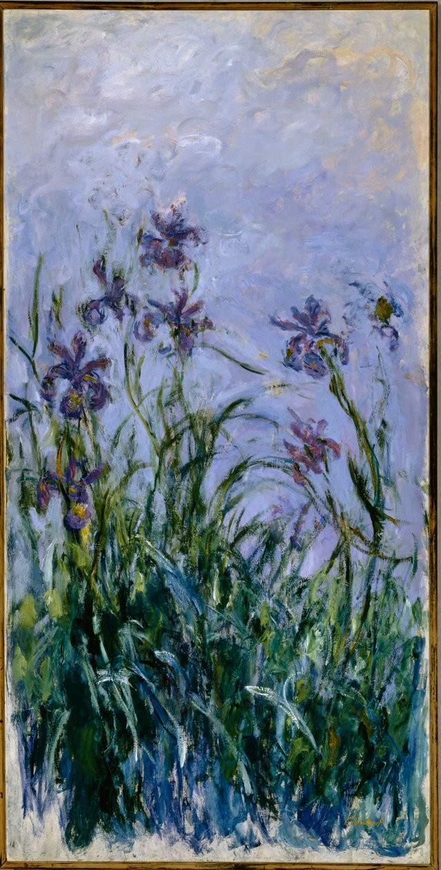 Íris roxas, 1914-17 de Claude Monet