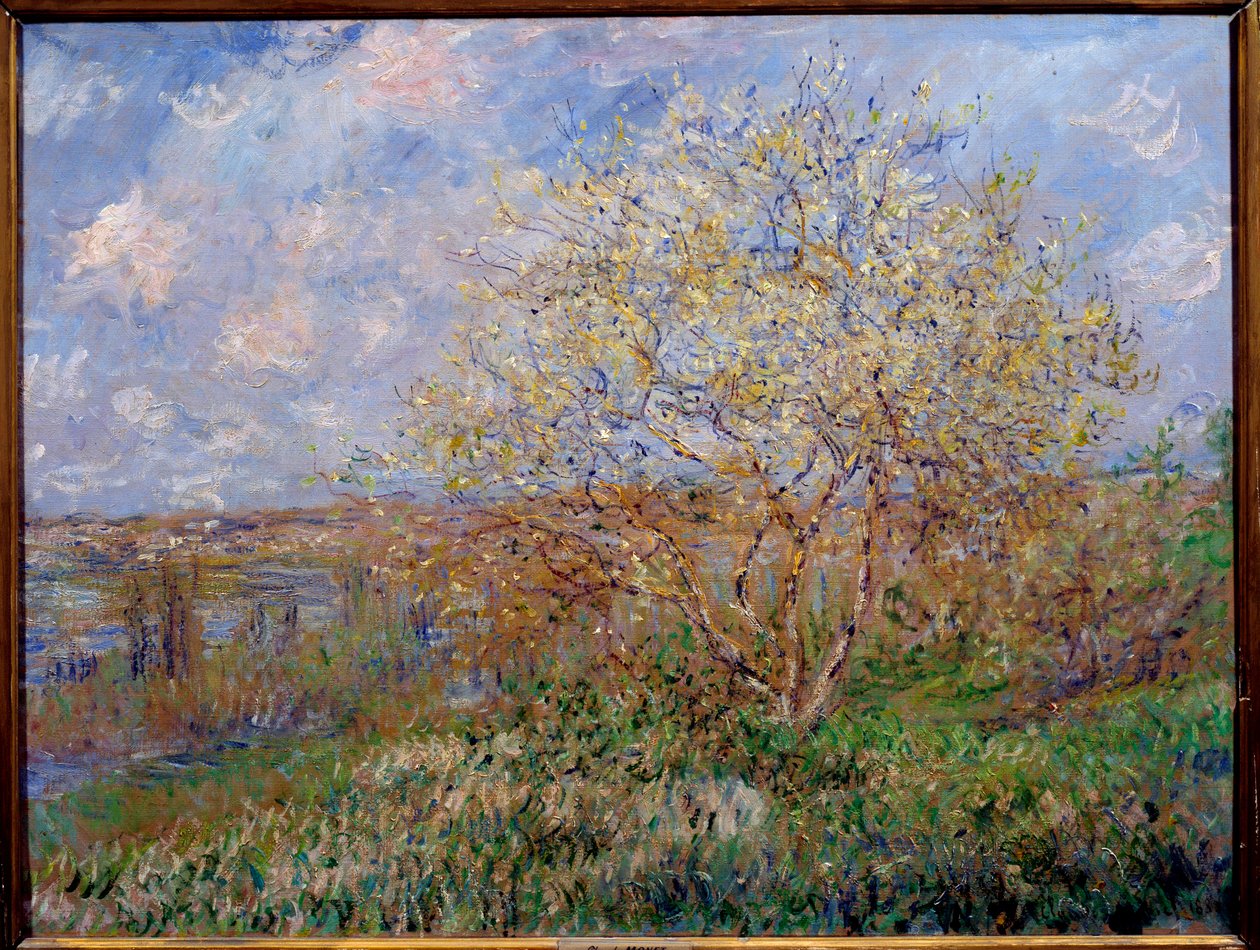 Spring Painting by Claude Monet (1840-1926) 1882 Dim. 0,60 x 0,79 m Lyon, Musee des Beaux Arts de Claude Monet