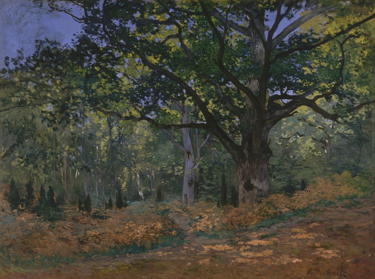 O carvalho de Bodmer, floresta de Fontainebleau de Claude Monet