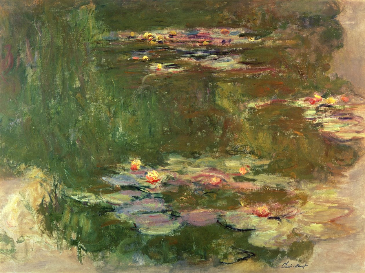 A Lagoa dos Lírios, c.1917 de Claude Monet
