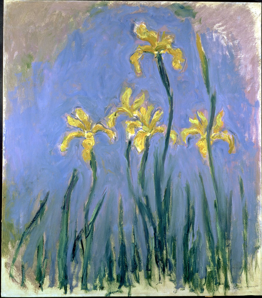 As íris amarelas, c.1918-25 de Claude Monet