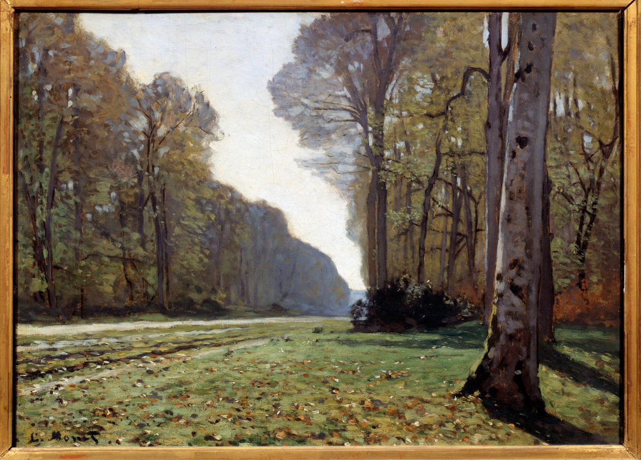 O pavimento de Chailly, Fontainebleau, c.1865 (óleo sobre tela) de Claude Monet