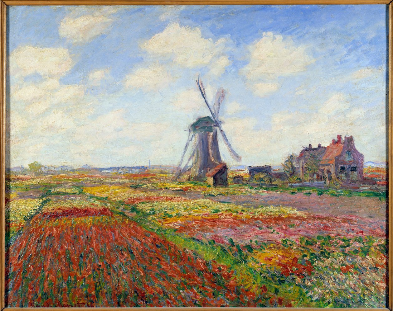 Campos de tulipas na Holanda (com um moinho de vento) de Claude Monet