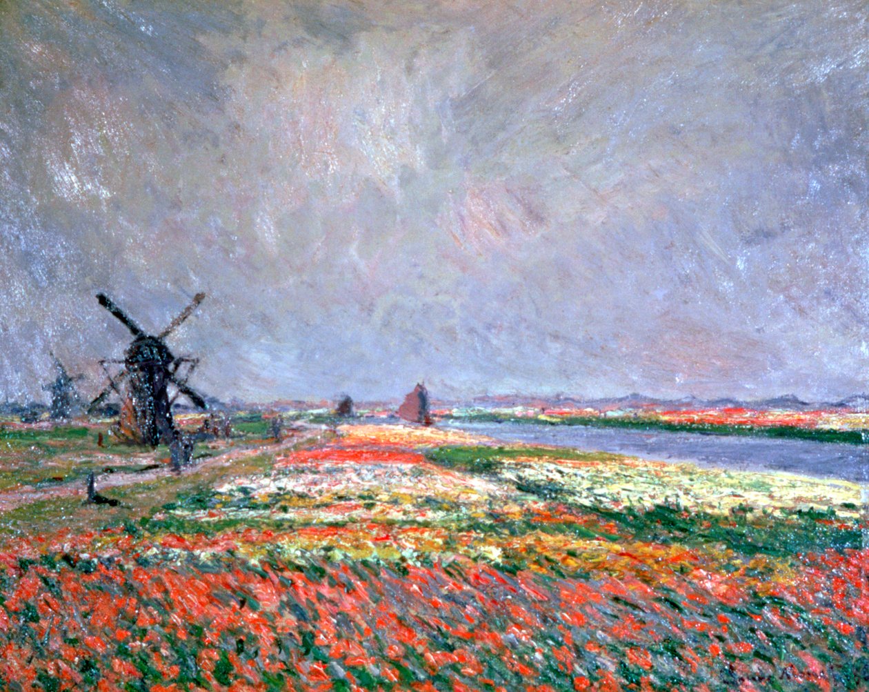 Campos de tulipas em Leiden, 1886 de Claude Monet