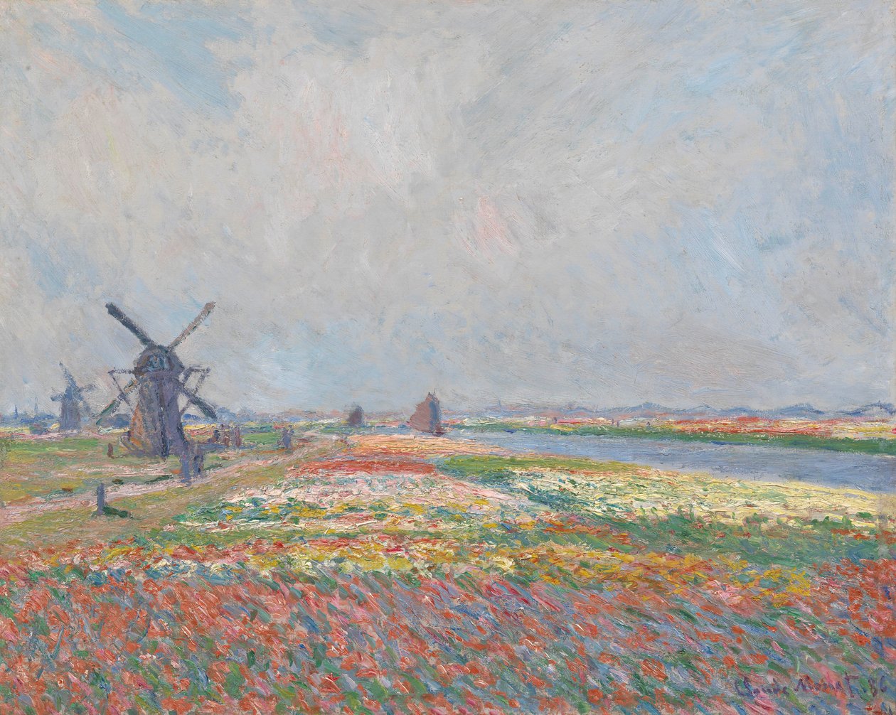 Campos de tulipas perto de Haia. de Claude Monet