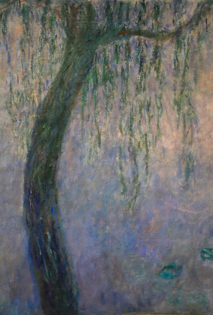 Lírios de água (óleo sobre tela) de Claude Monet