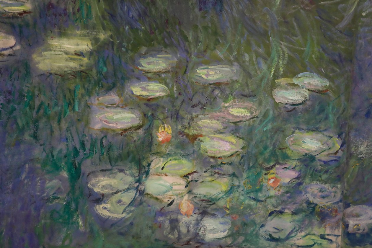 Lírios de água (óleo sobre tela) de Claude Monet