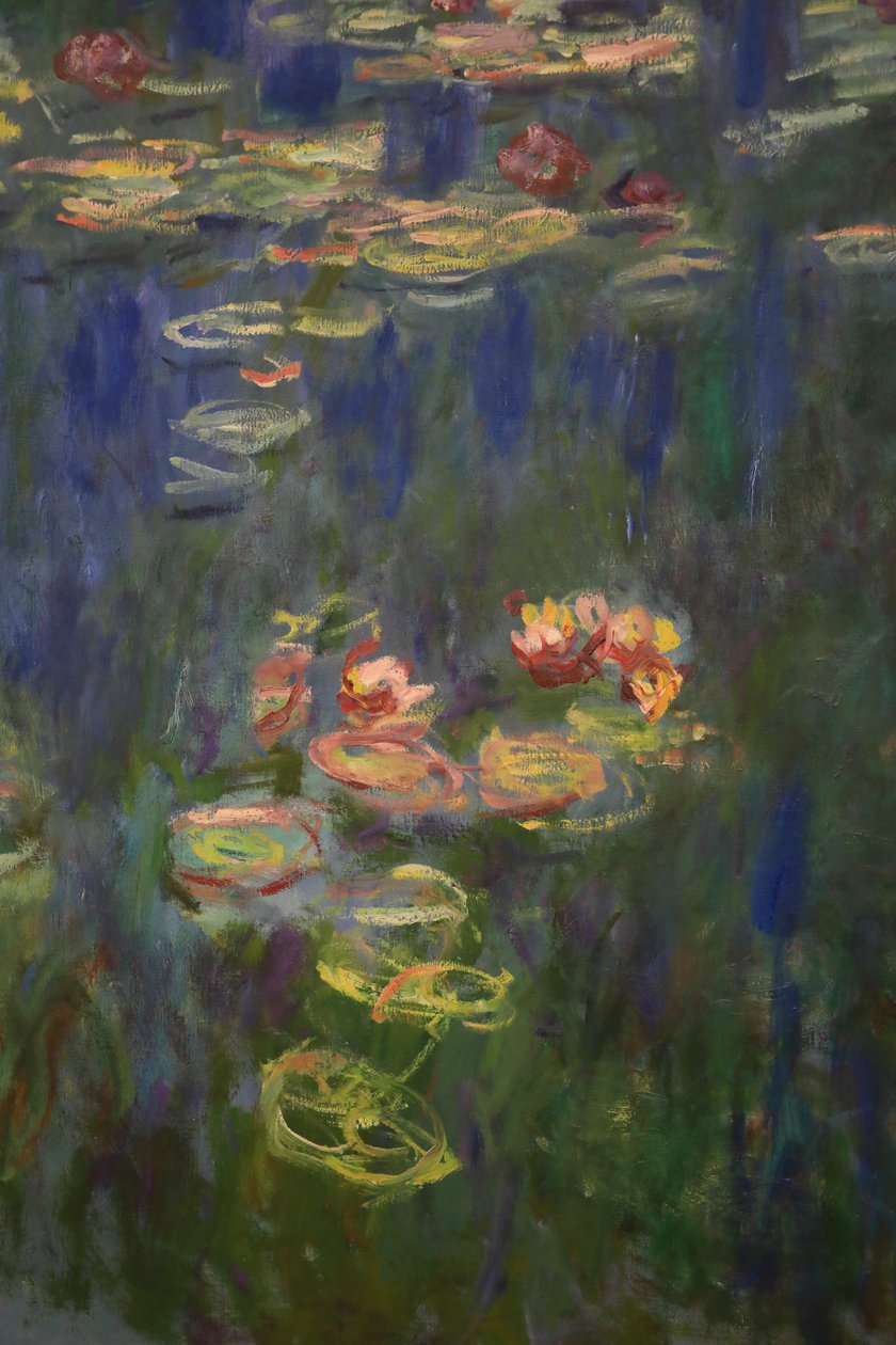 Lírios de água (óleo sobre tela) de Claude Monet