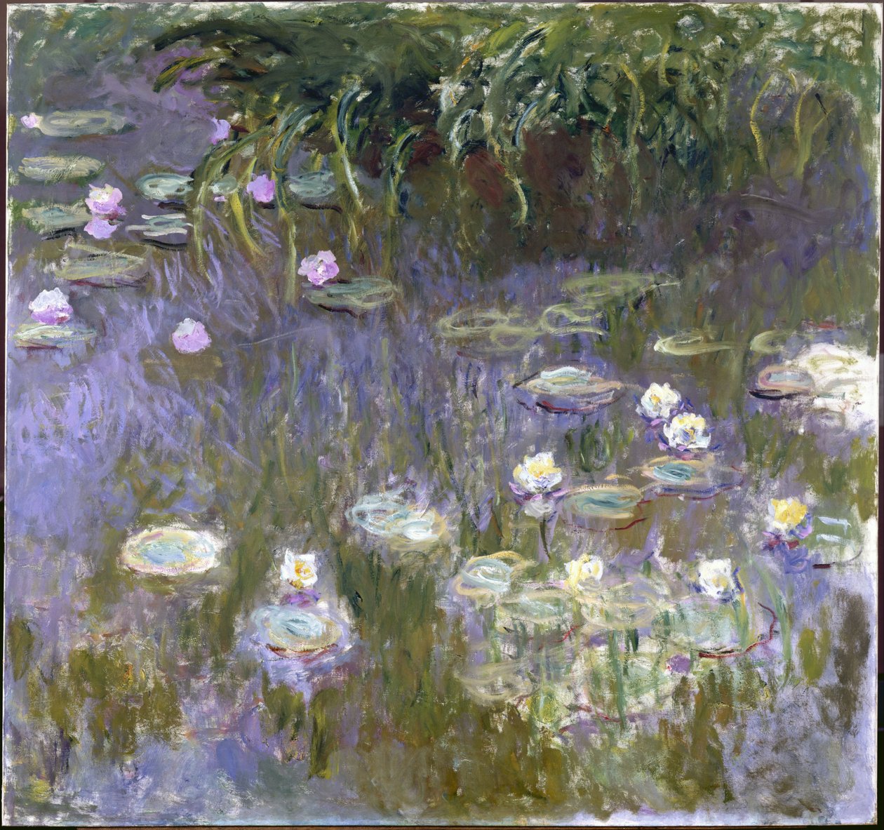 Lírios de Claude Monet