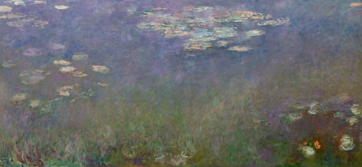 Lírios de Claude Monet