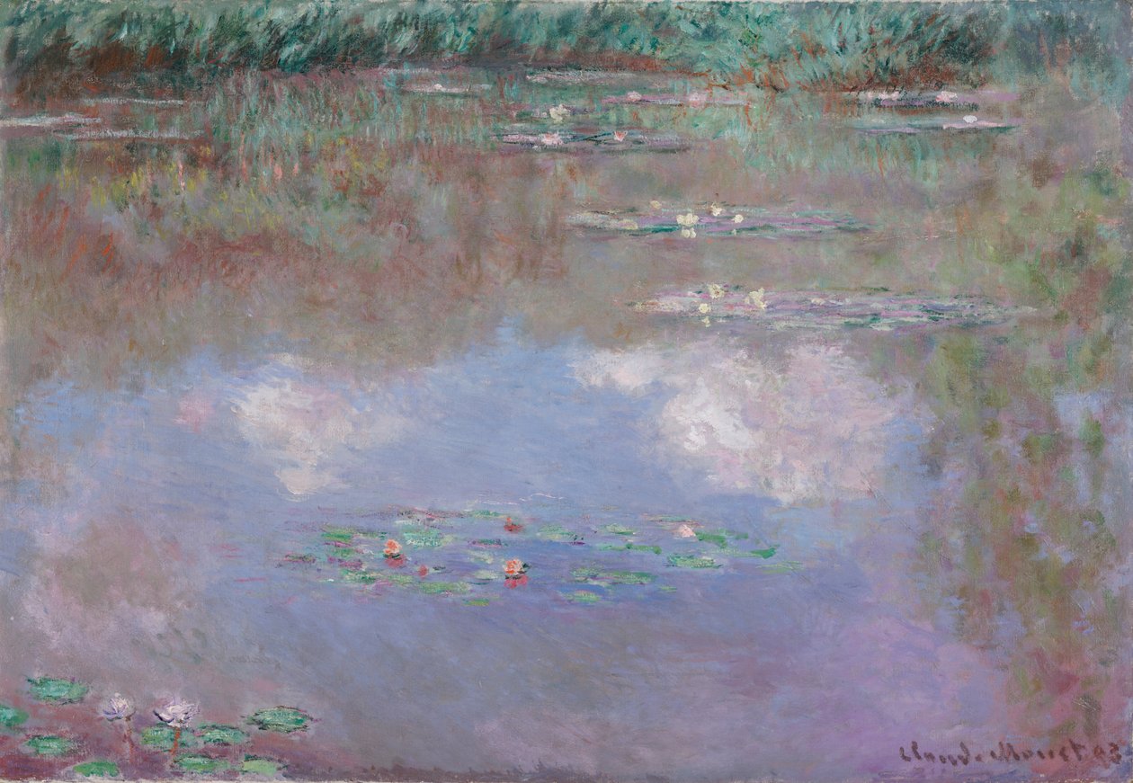 Lírios de água, a nuvem, 1903 de Claude Monet