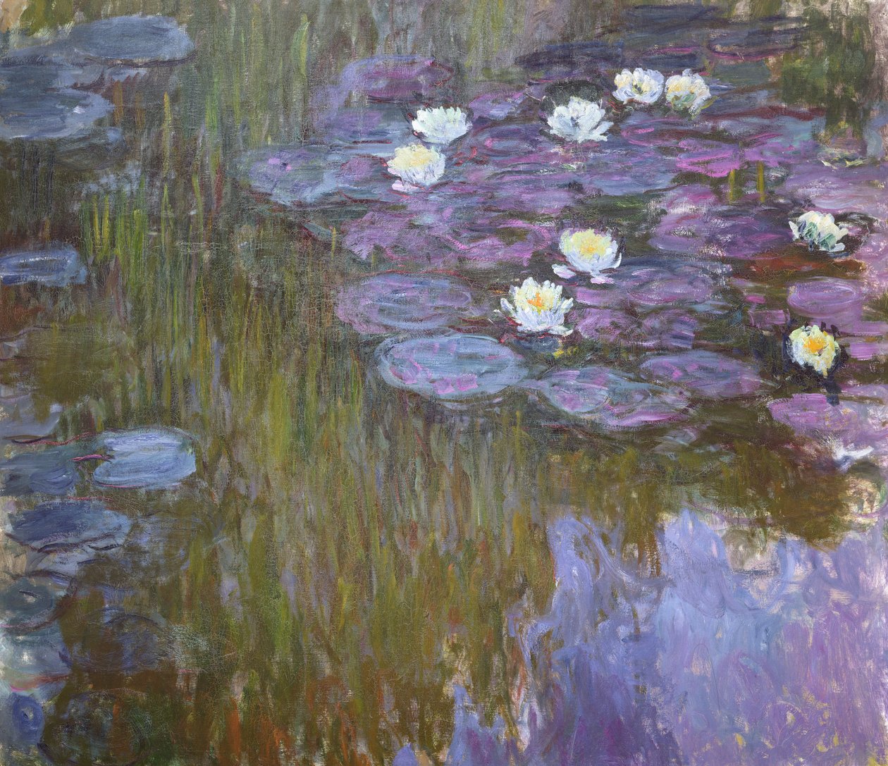 Lírios de Claude Monet