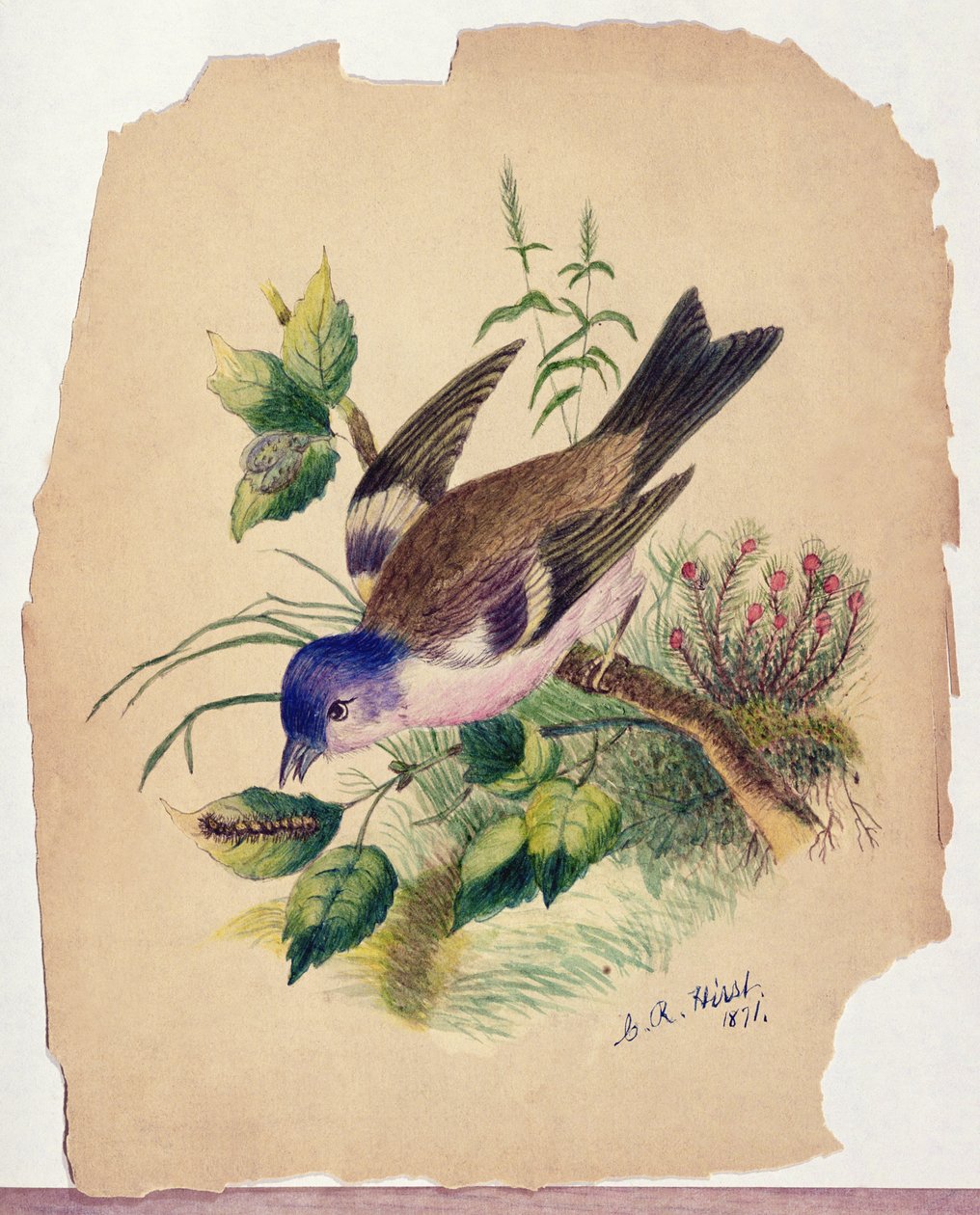 Pássaro azul num ramo de Claude Raguet Hirst