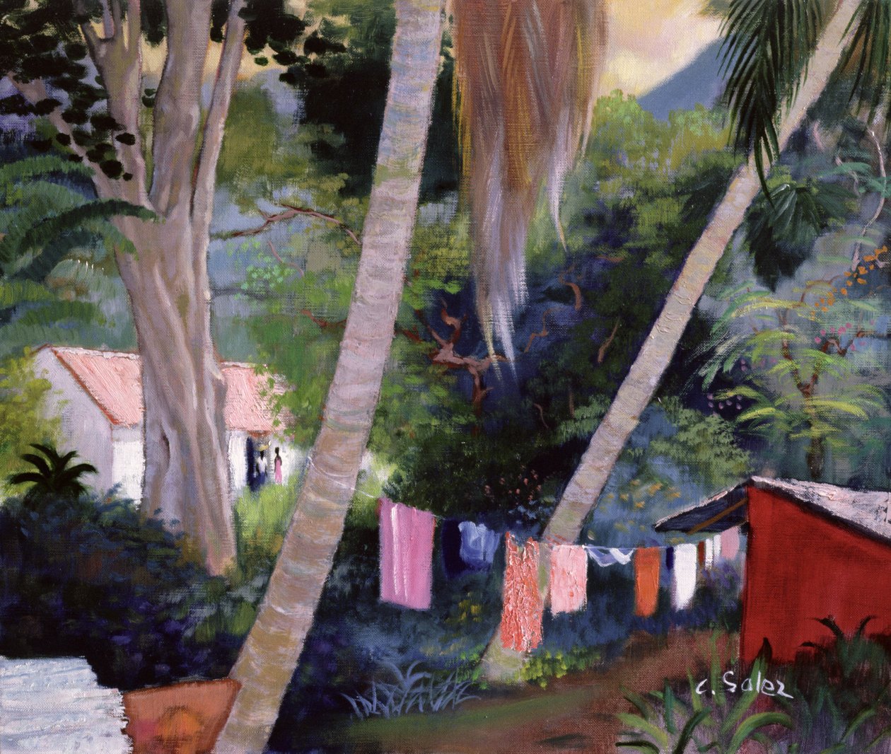 Lavagem De Secagem, Guadalupe de Claude Salez