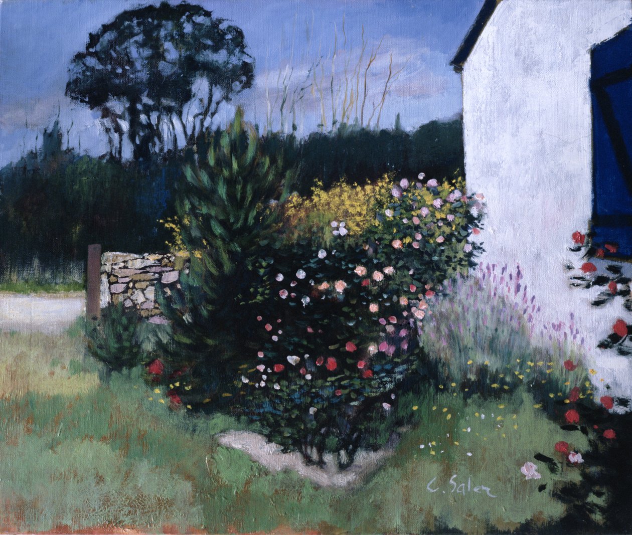 A roseira de Claude Salez