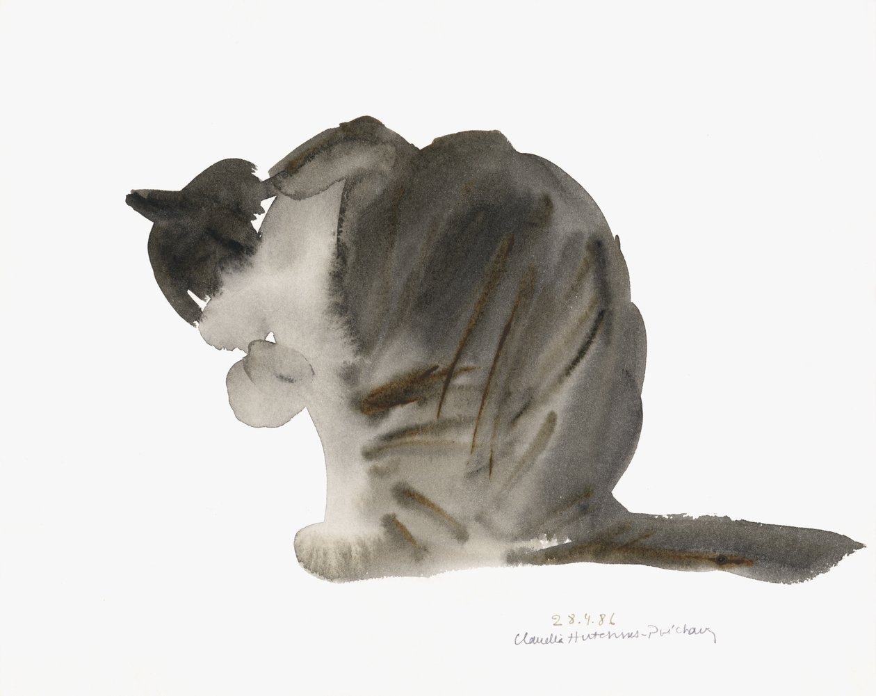 Gato, 1985 (aquarela) de Claudia Hutchins Puechavy