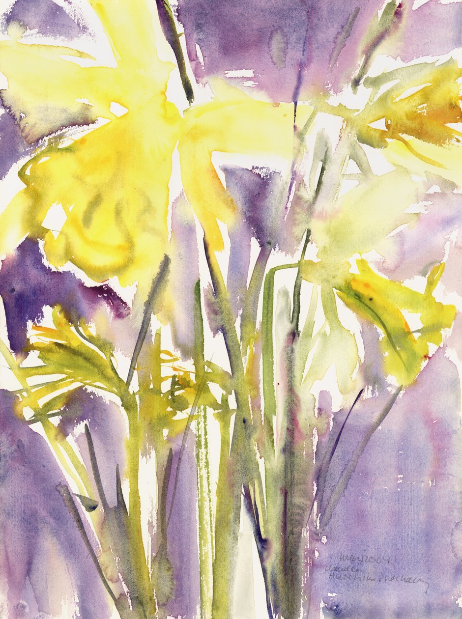 Narcisos, 2004 (aguarela) de Claudia Hutchins Puechavy