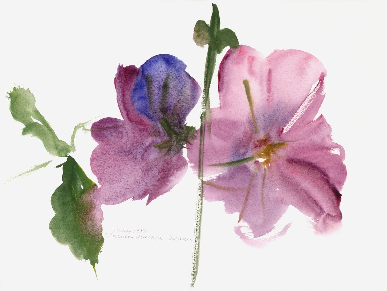 Hollyhocks, 1988 (aquarela) de Claudia Hutchins Puechavy
