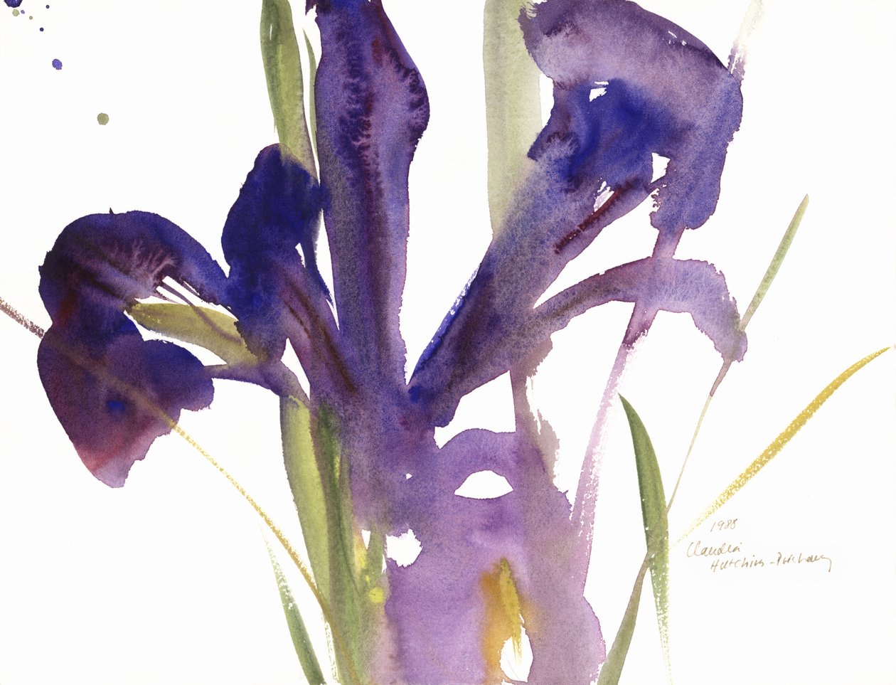 Iris, 1987 de Claudia Hutchins Puechavy