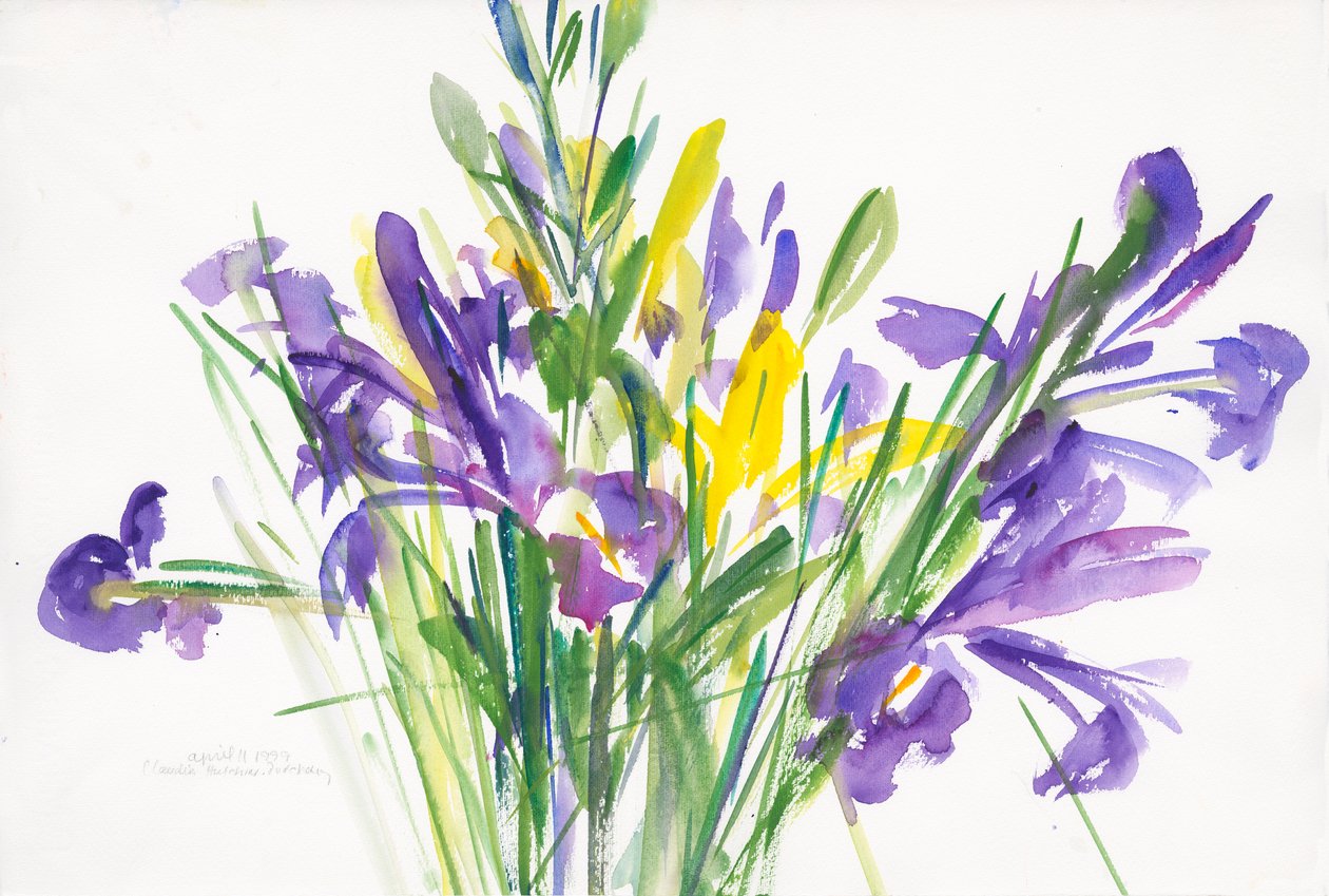 Íris, 1999, (aguarela sobre papel) de Claudia Hutchins Puechavy