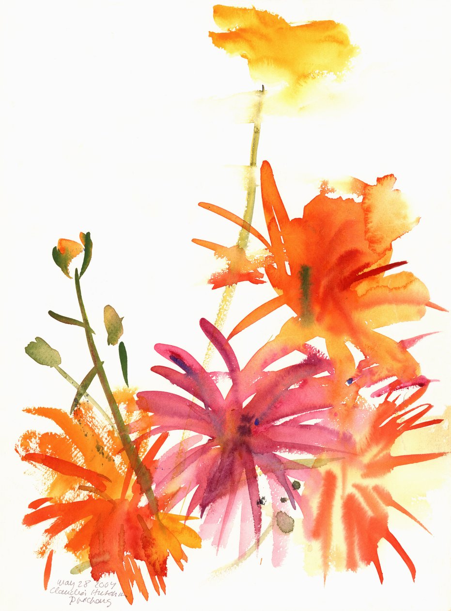 Malmequeres e outras flores, 2004 de Claudia Hutchins Puechavy