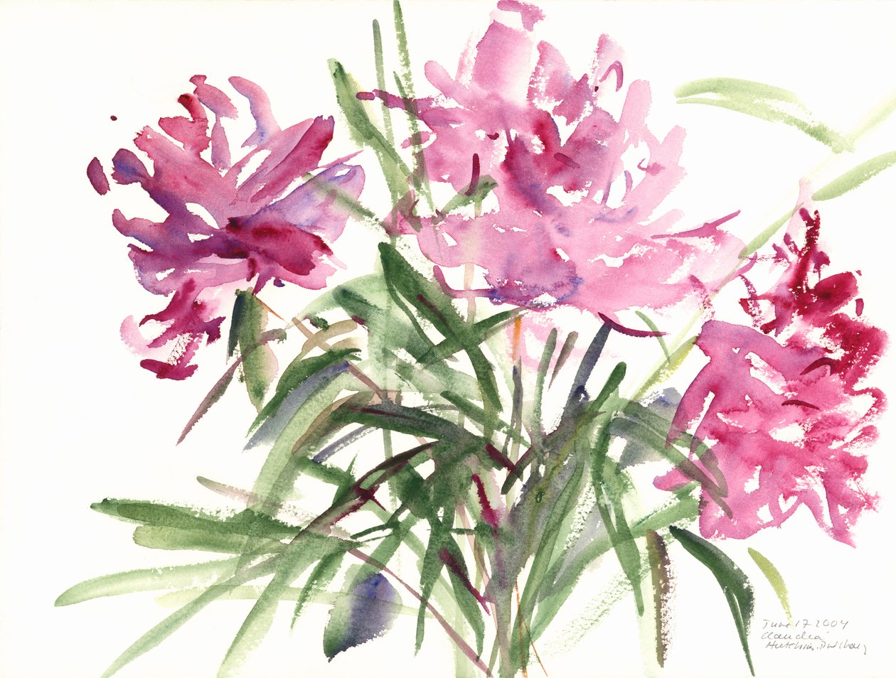 Peônias, 2004 (aquarela) de Claudia Hutchins Puechavy