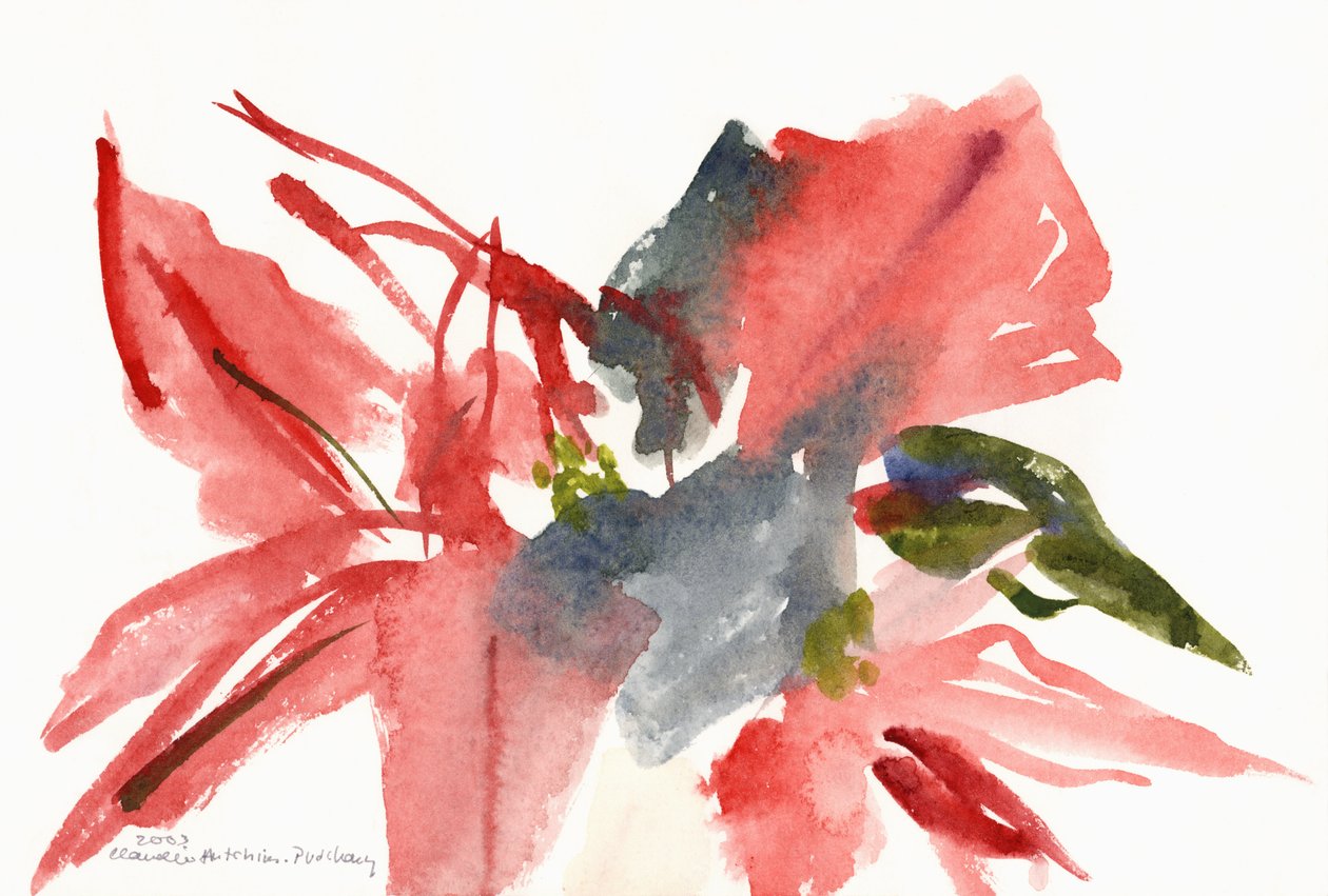 Poinsétia, 2003 de Claudia Hutchins Puechavy