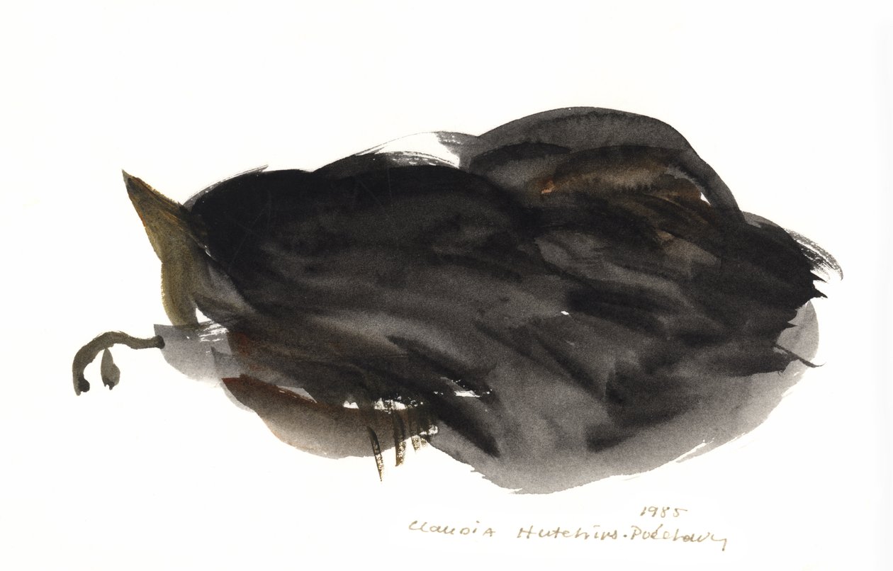 Gato Adormecido, 1985 (aguarela) de Claudia Hutchins Puechavy